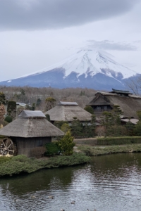 忍野八海から見る富士山